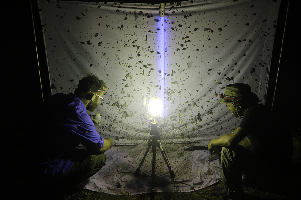 Hjelmen Lab research