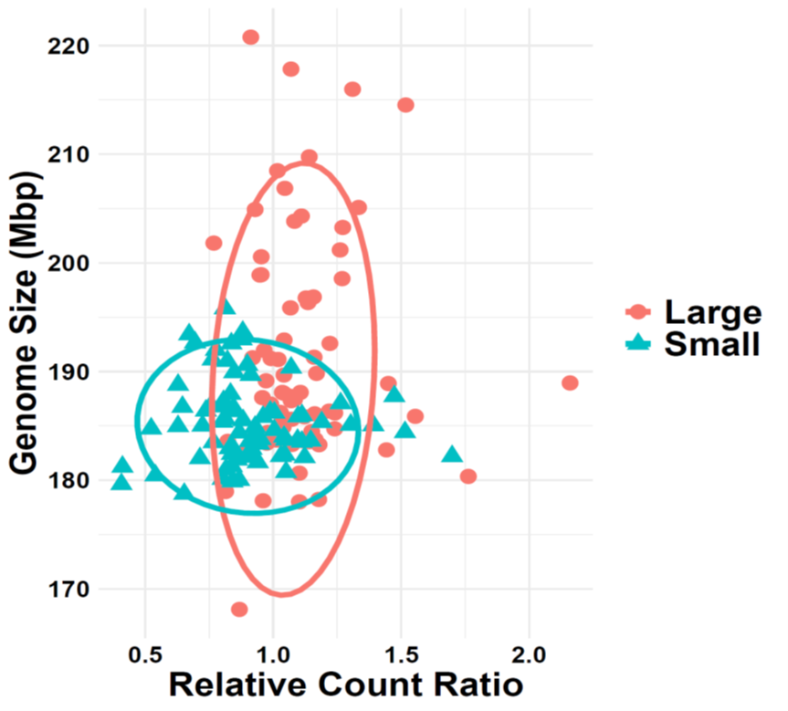 scatterplot of drosophila genome size with cell count