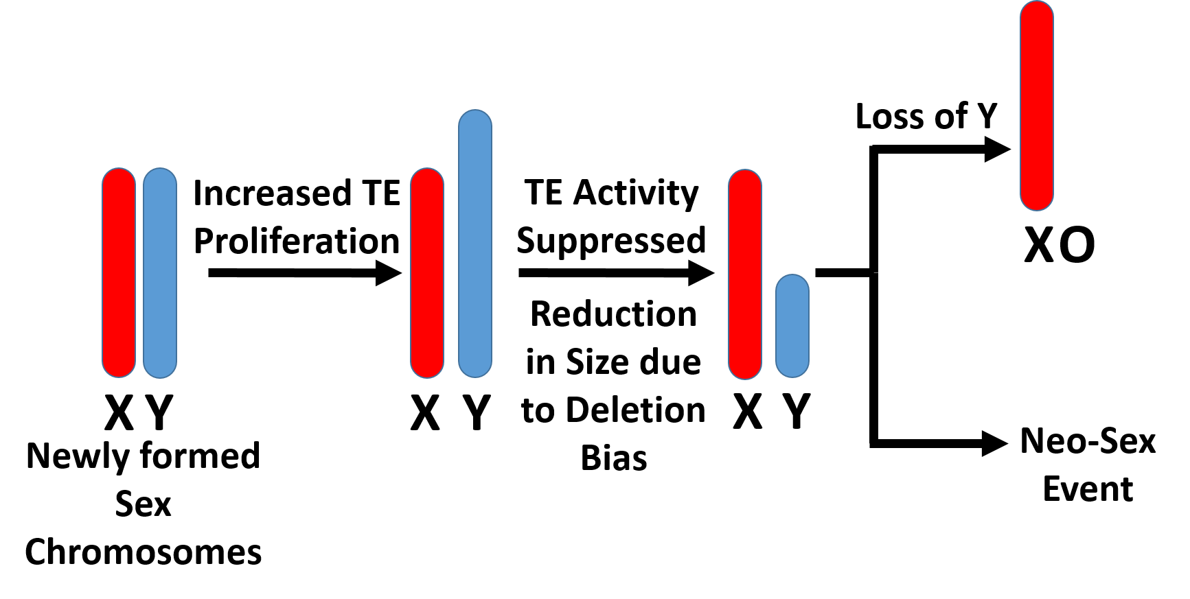 sex difference plot